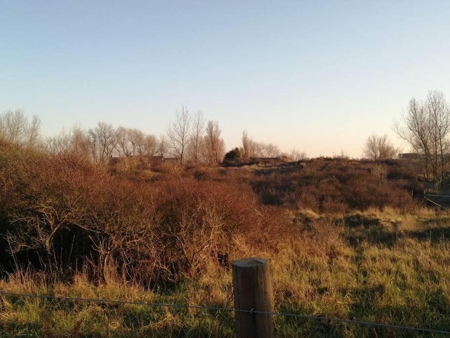 Lovely N° 9 Op Ieder Moment Een Prachtig Zeezicht & Zwembad Middelkerke Exteriör bild